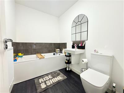 Picture 16